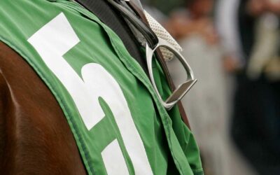 What do the Kentucky Derby, the Exodus, and Race Have to do With One Another?